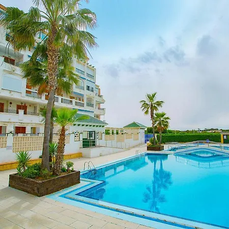020 Lovely - Alicante